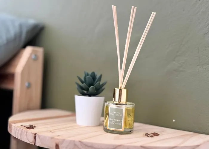 Kame House Apartamento Costa De Antigua