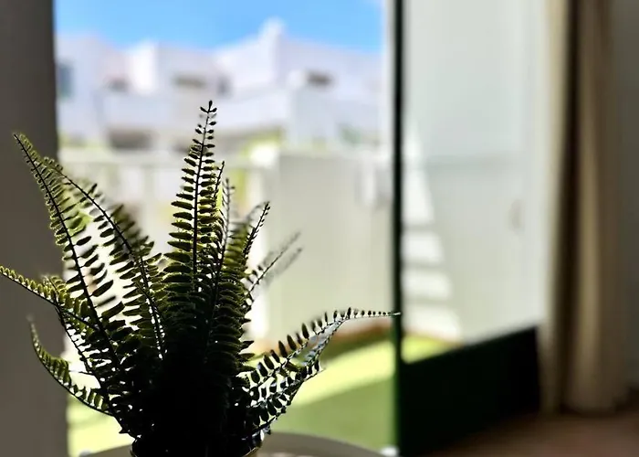 Kame House Apartamento *