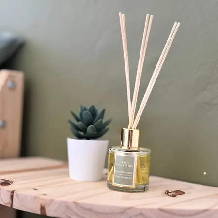 Kame House Apartamento Costa De Antigua