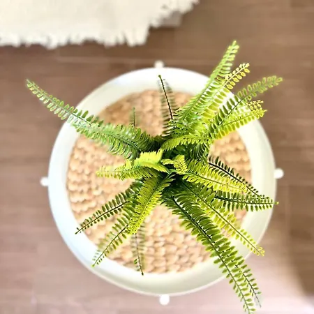 Kame House Appartement *