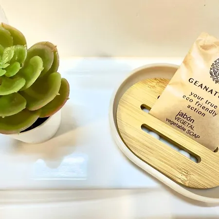 アパート Kame House